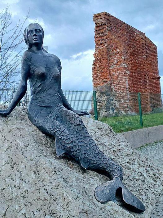 Radość Rewal